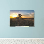 Abandoned Shed Colorado Sunset Leinwand (Insitu (Holzboden))