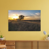 Abandoned Shed Colorado Sunset Leinwand (Insitu (Wohnzimmer))