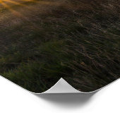 Abandoned Shed Colorado Sunset Poster (Ecke)