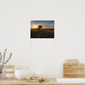 Abandoned Shed Colorado Sunset Poster (Küche)