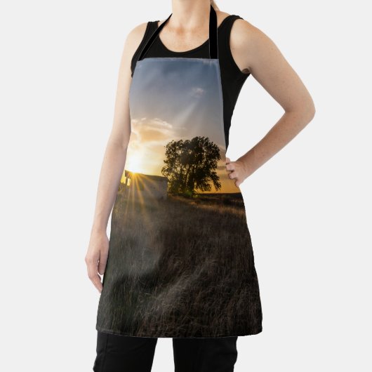 Abandoned Shed Colorado Sunset Schürze (InSitu)