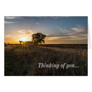 Abandoned Shed Colorado Sunset Thinking of U Card