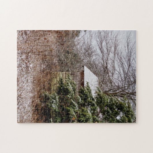 Abandoned Shed Jigsaw Puzzle (Horizontal)