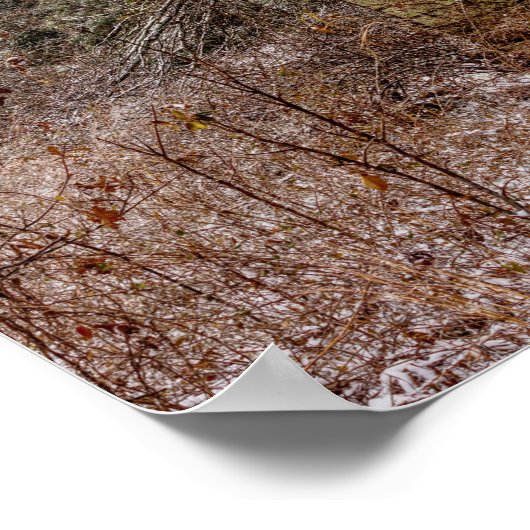 Abandoned Shed Poster (Ecke)