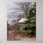 Abandoned Shed Poster (Vorne)