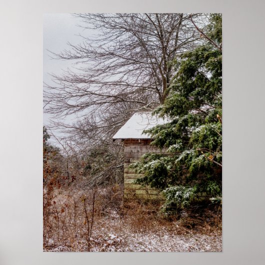 Abandoned Shed Poster (Vorne)