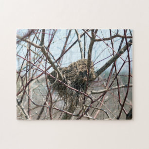 Abandoned Spring Bird Nest Nature Puzzle