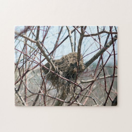 Abandoned Spring Bird Nest Nature Puzzle (Horizontal)