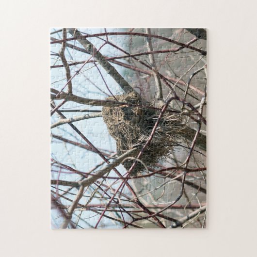 Abandoned Spring Bird Nest Nature Puzzle (Vertikal)