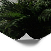 Abandoned Theater Nature Reclaimed Poster (Ecke)