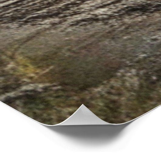 Abandoned Train with Graffiti Urban Street Art Poster (Ecke)