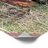 Abandoned Truck Poster (Ecke)