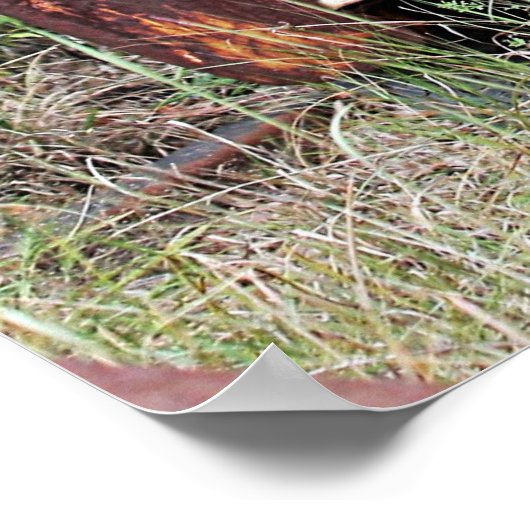 Abandoned Truck Poster (Ecke)