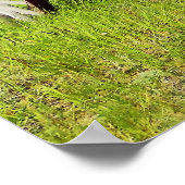 Abandoned Wagon Gerahmt Print Poster (Ecke)