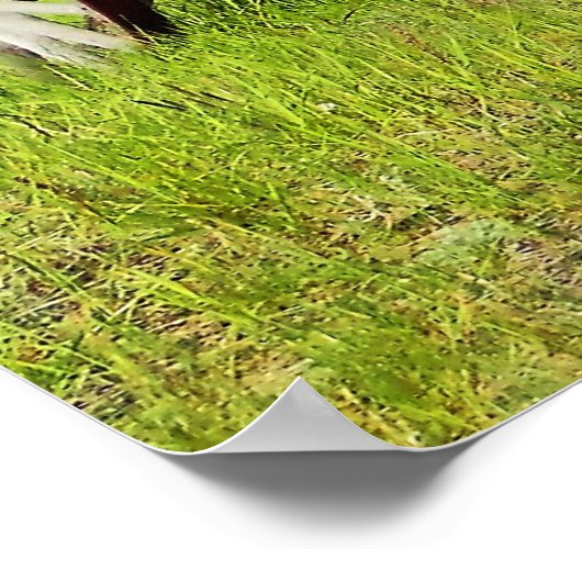 Abandoned Wagon Gerahmt Print Poster (Ecke)