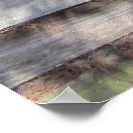 Abandoned Weathered Barn Door Poster (Ecke)