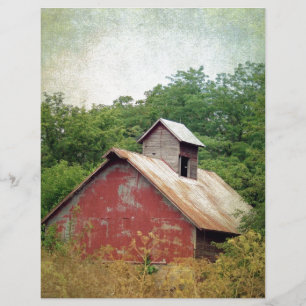 Abandoniert und überwuchert