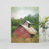 Abandoniert und überwuchert (Stehend Vorderseite)