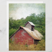 Abandoniert und überwuchert (Vorne/Hinten)