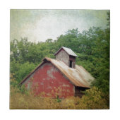 Abandoniert und überwuchert fliese (Vorderseite)