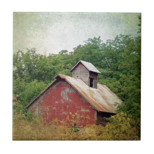 Abandoniert und überwuchert fliese (Vorderseite)
