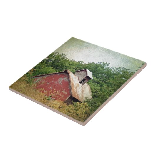 Abandoniert und überwuchert fliese (Seite)