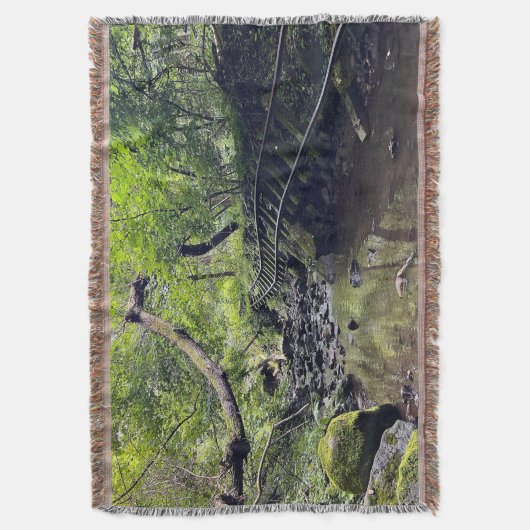 Abandonierte Eisenbahn Decke (Vorderseite Vertikal)