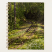 Abandonierte Eisenbahn in einem Wald Planer (Vorderseite)