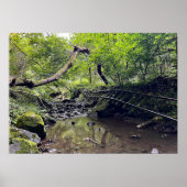 Abandonierte Eisenbahn Poster (Vorne)