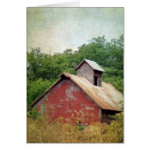 Abandonierte und übergewachsene rote Scheune (Vorne)