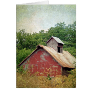 Abandonierte und übergewachsene rote Scheune