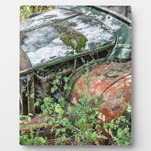 Abandred Vintag Lkw Fotoplatte (Vorderseite)