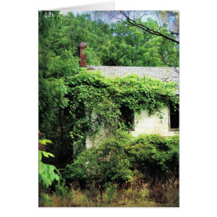 Abandred White House im Wald