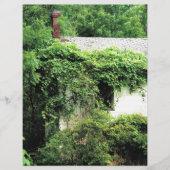 Abandred White House im Wald (Vorderseite)