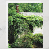 Abandred White House im Wald (Vorne/Hinten)