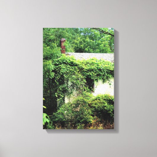 Abandred White House im Wald Leinwanddruck (Vorderseite)
