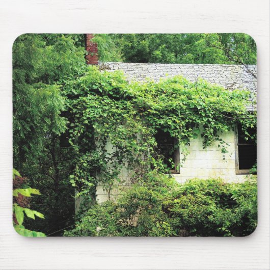 Abandred White House im Wald Mousepad (Vorne)