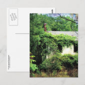 Abandred White House im Wald Postkarte (Vorne/Hinten)