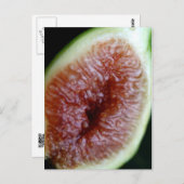 Abb. innen postkarte (Vorne/Hinten)