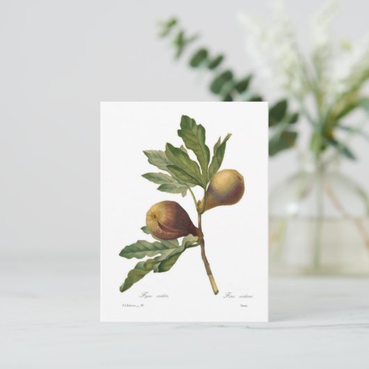 Abb Postkarte (Stehend Vorderseite)