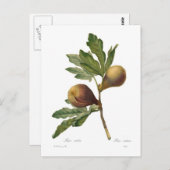 Abb Postkarte (Vorne/Hinten)