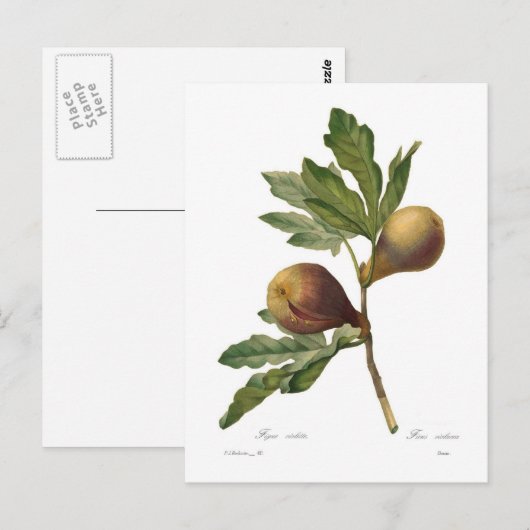 Abb Postkarte (Vorne/Hinten)