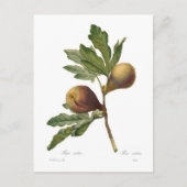 Abb Postkarte (Vorderseite)