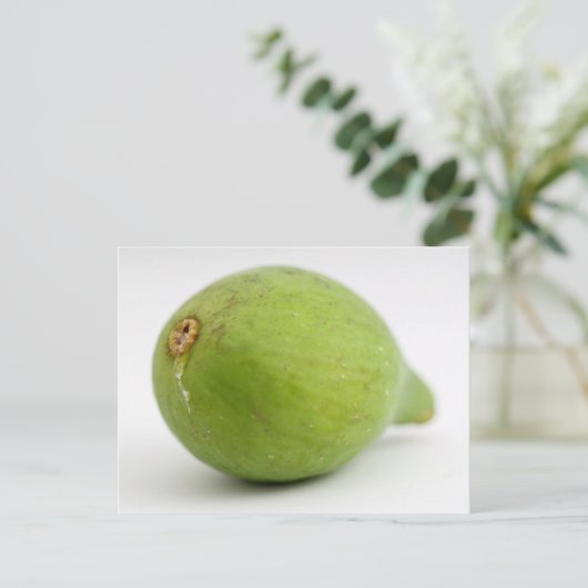 Abb Postkarte (Stehend Vorderseite)