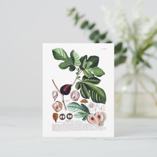 Abb Postkarte (Stehend Vorderseite)