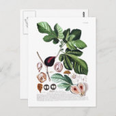 Abb Postkarte (Vorne/Hinten)