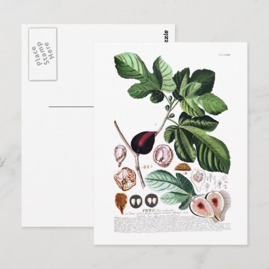 Abb Postkarte (Vorne/Hinten)