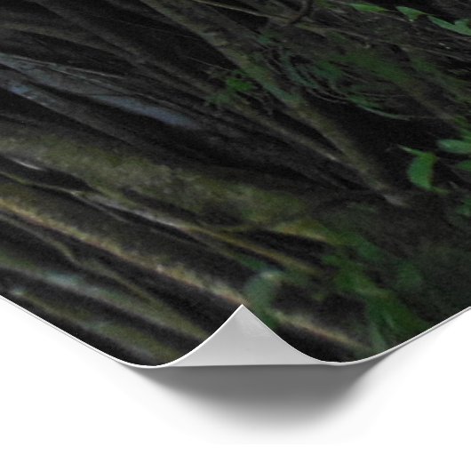 Abb. Tree Poster (Ecke)