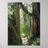 Abb. Tree Poster (Vorne)