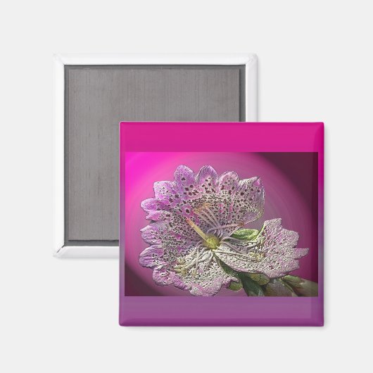 Abberant Foxglove Magnet (Vorderseite/Rückseite)